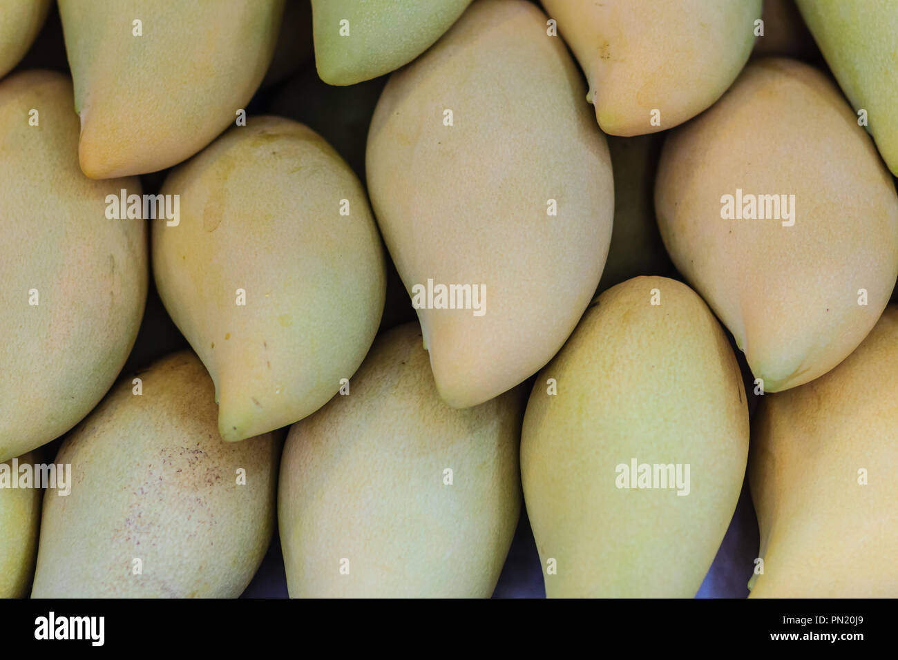 Organic Nam Dok Mai mangoes for sale at the fruit market. The Nam Doc