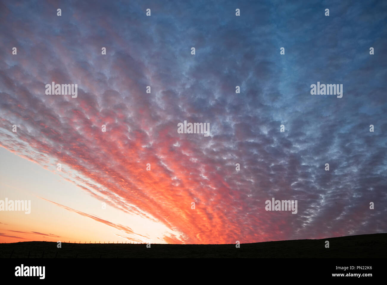Sunlit altocumulus cloud Stock Photo