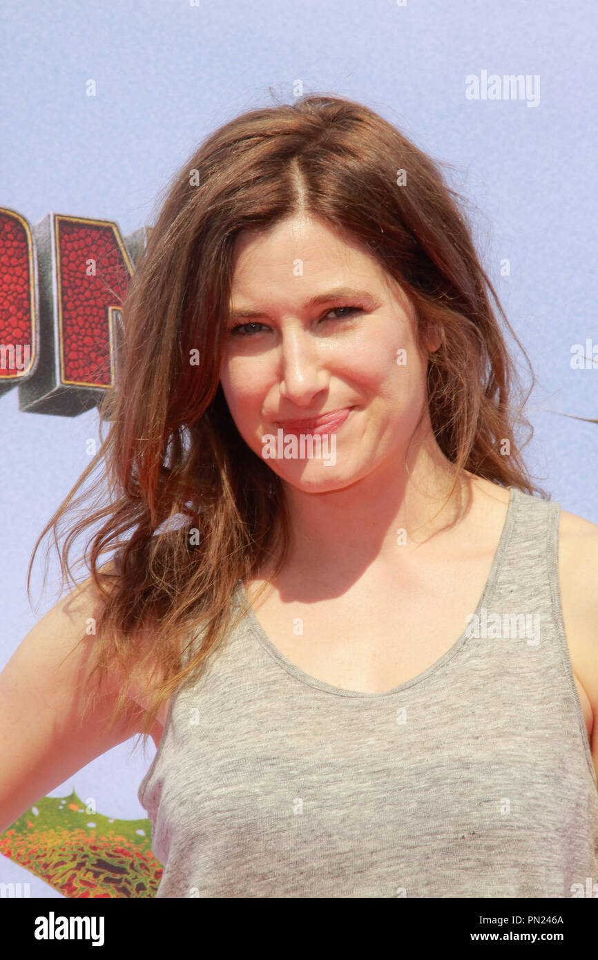 Kathryn Hahn at the DreamWorks premiere of "How To Train Your Dragon 2