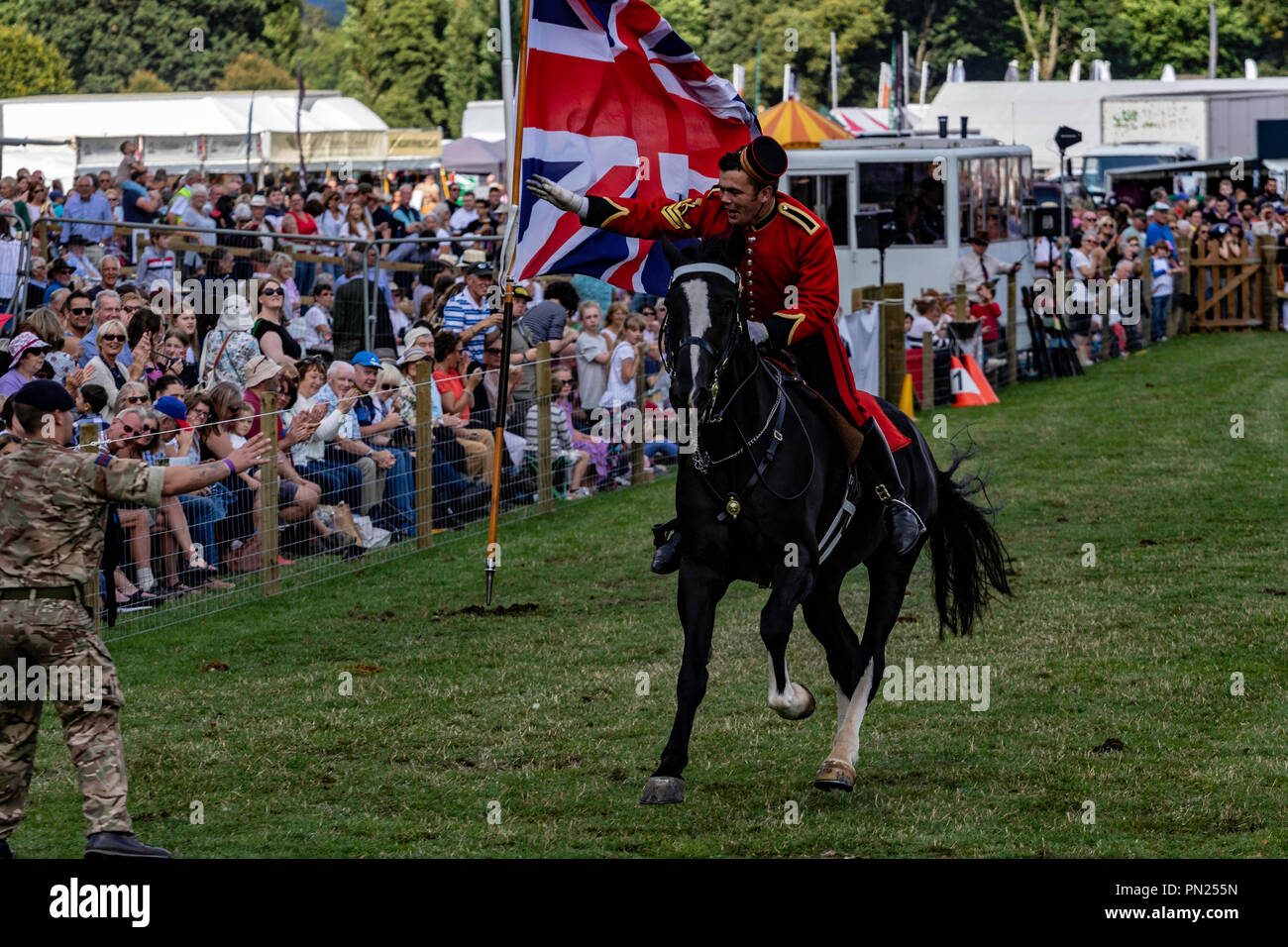 Chatsworth House activities including working gundogs and country show events and displays Stock Photo