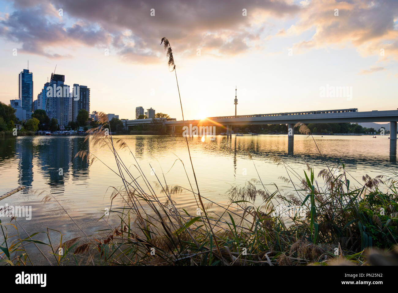 Wien, Vienna sunset at lake Alte Donau (Old Danube), skyscraper of