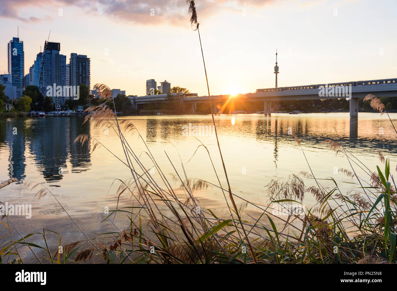 Wien, Vienna sunset at lake Alte Donau (Old Danube), skyscraper of