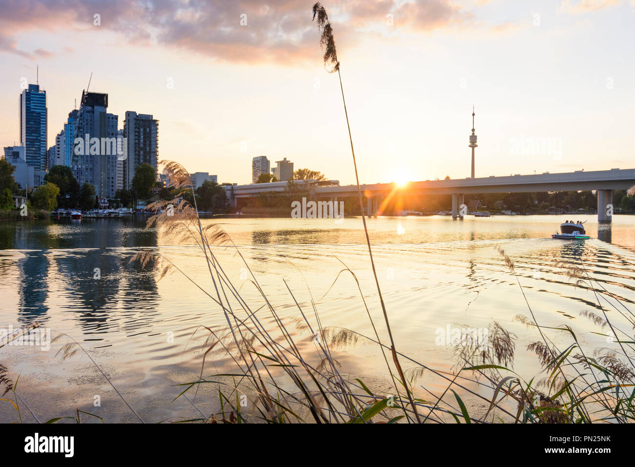 Wien, Vienna sunset at lake Alte Donau (Old Danube), skyscraper of