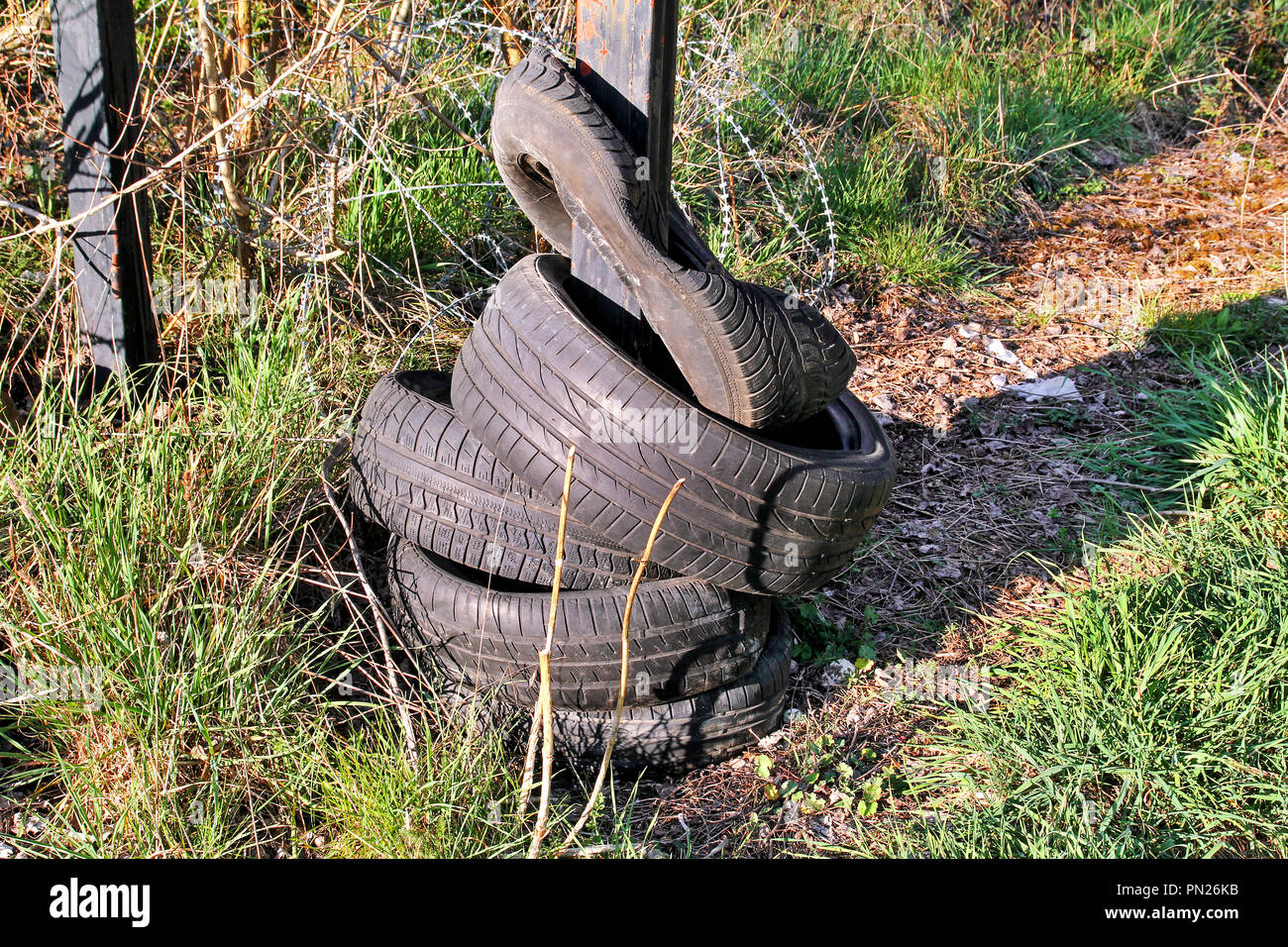 Old car tires left in the natural environment. Nature is destroyed