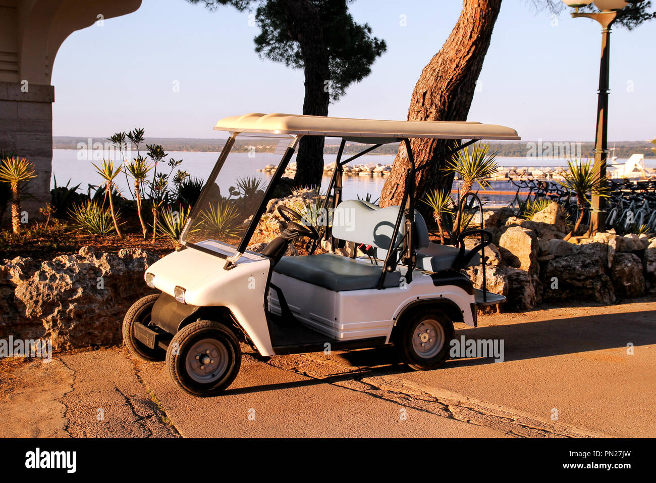 Drive Golf Buggy High Resolution Stock Photography and Images - Alamy