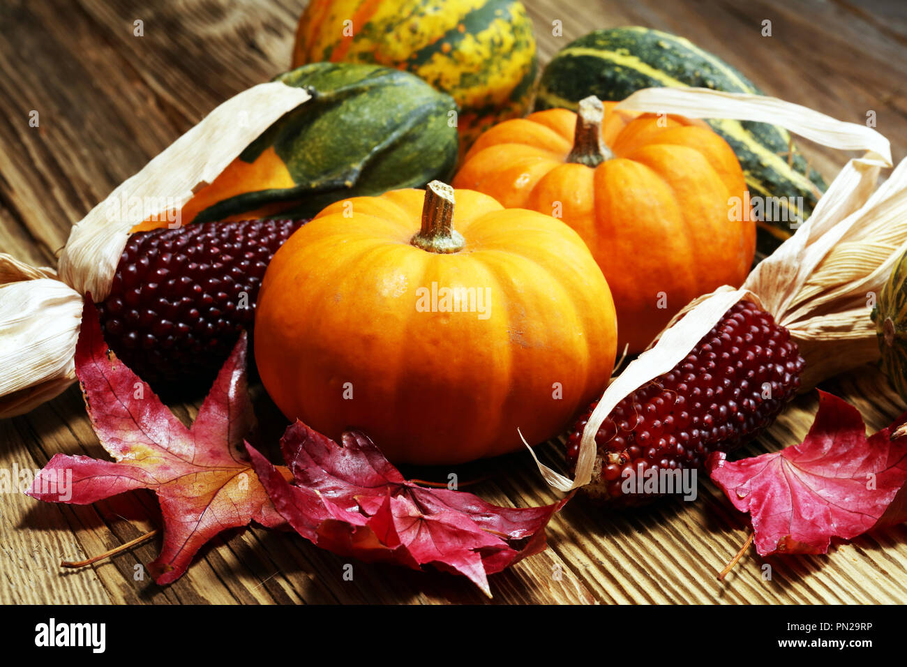 Diverse assortment of pumpkins on a wooden background. Autumn harvest ...