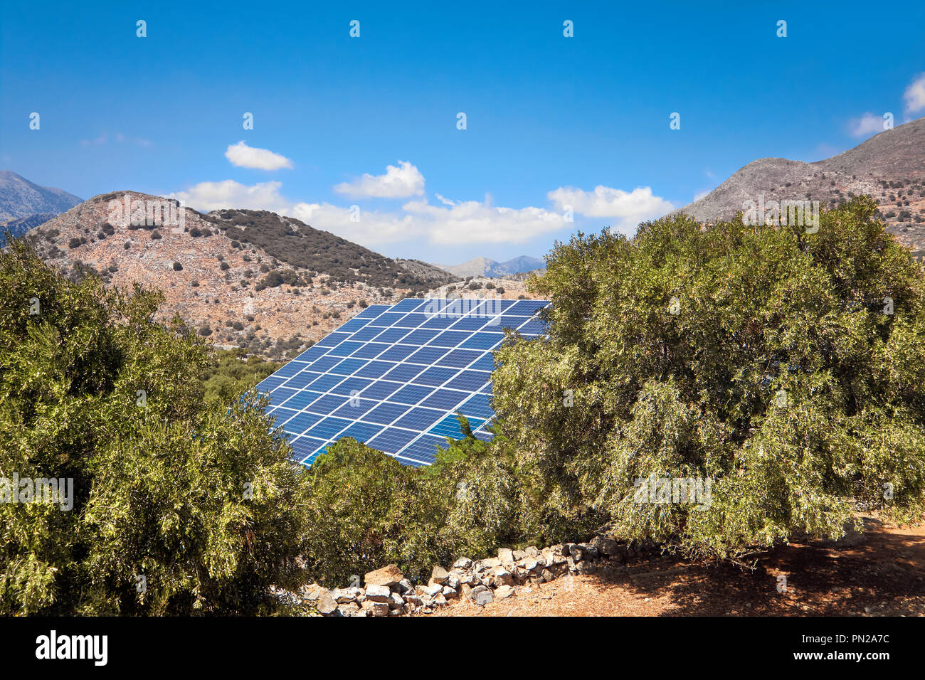 Solar panels among olive groves near Elounda, Crete, Greece, Europe. Stock Photo