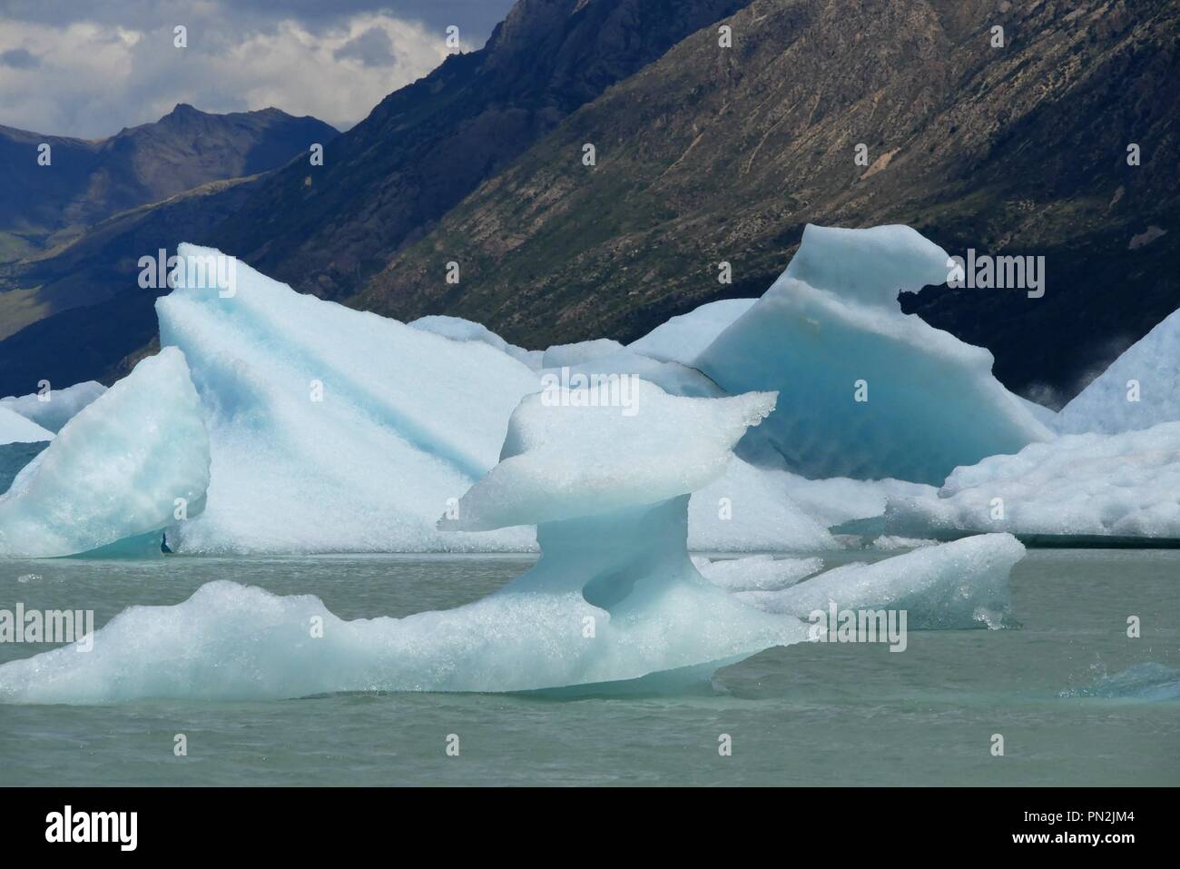Floating icebergs in Viedma Lake at Huemul Trek close to El Chalten in Patagonia Argentina Stock Photo