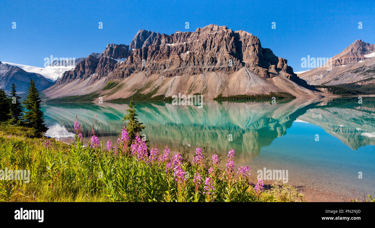 Waputik Range reflecting on Bow Lake, Banff National Park, Alberta Canada Stock Photo
