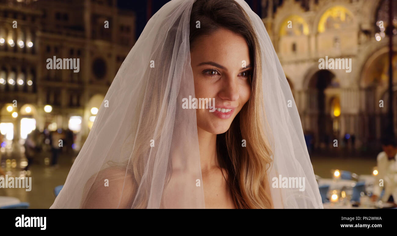 Gorgeous Bride In Traditional Veil Smiling At Wedding Reception