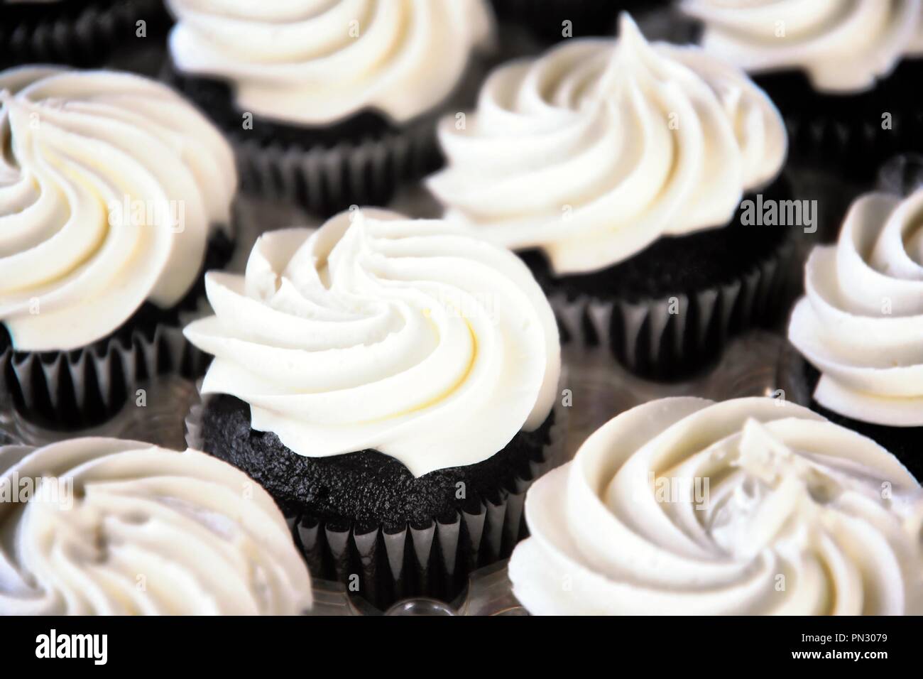 Tray of chocolate cupcakes topped with white vanilla frosting Stock Photo