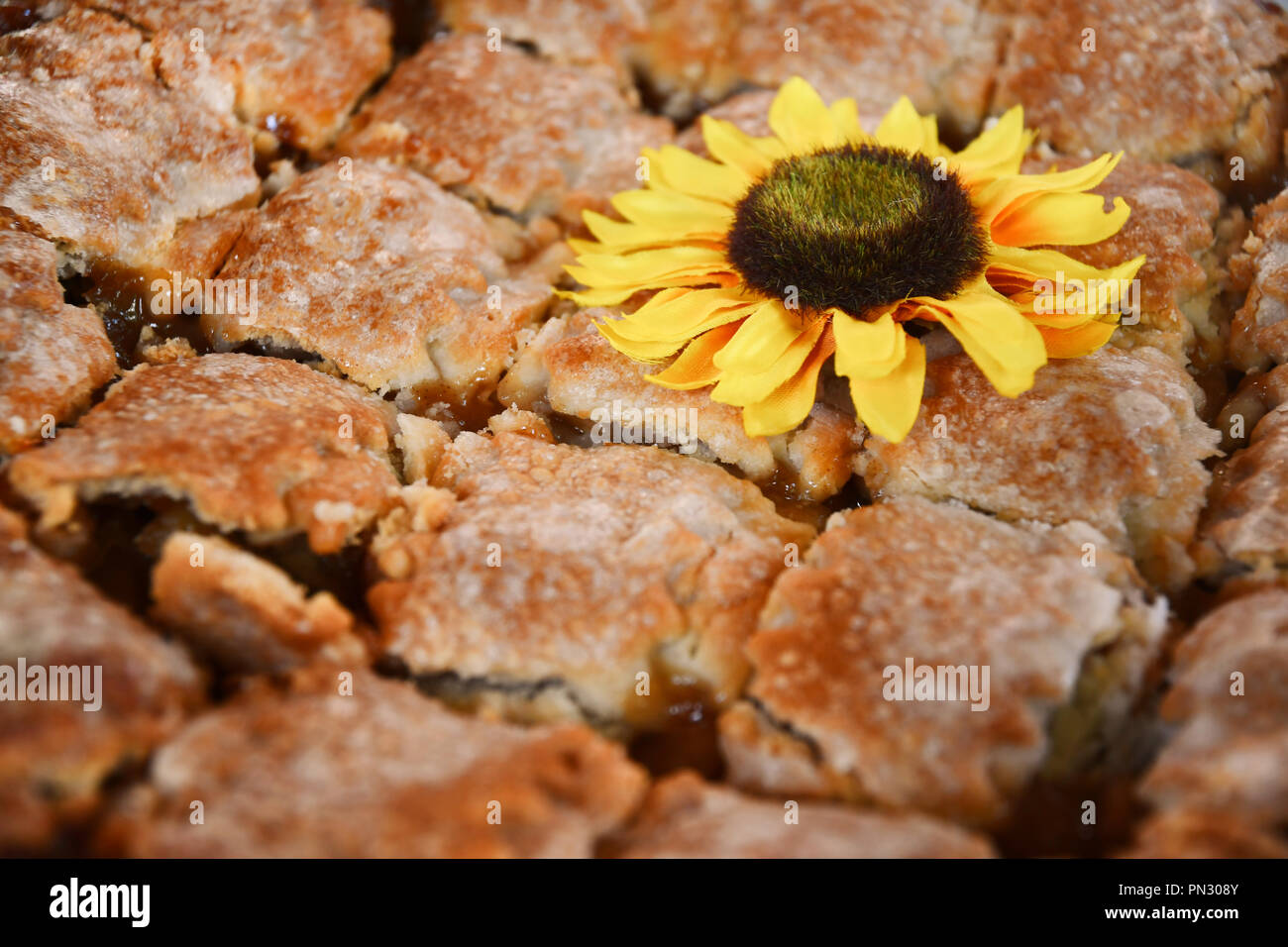 Cut up apple pie with a faux sunflower Stock Photo