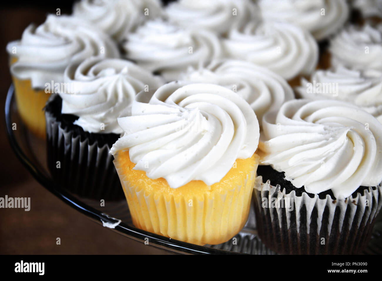 Tray of chocolate and vanilla cupcakes topped with white vanilla frosting Stock Photo