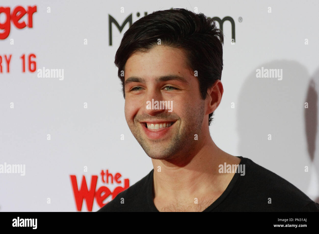 Josh Peck at the Premiere of Screen Gems' "The Wedding Ringer" held at the  TCL Chinese Theater in Hollywood, CA, January 16, 2015. Photo by Joe  Martinez / PictureLux Stock Photo - Alamy