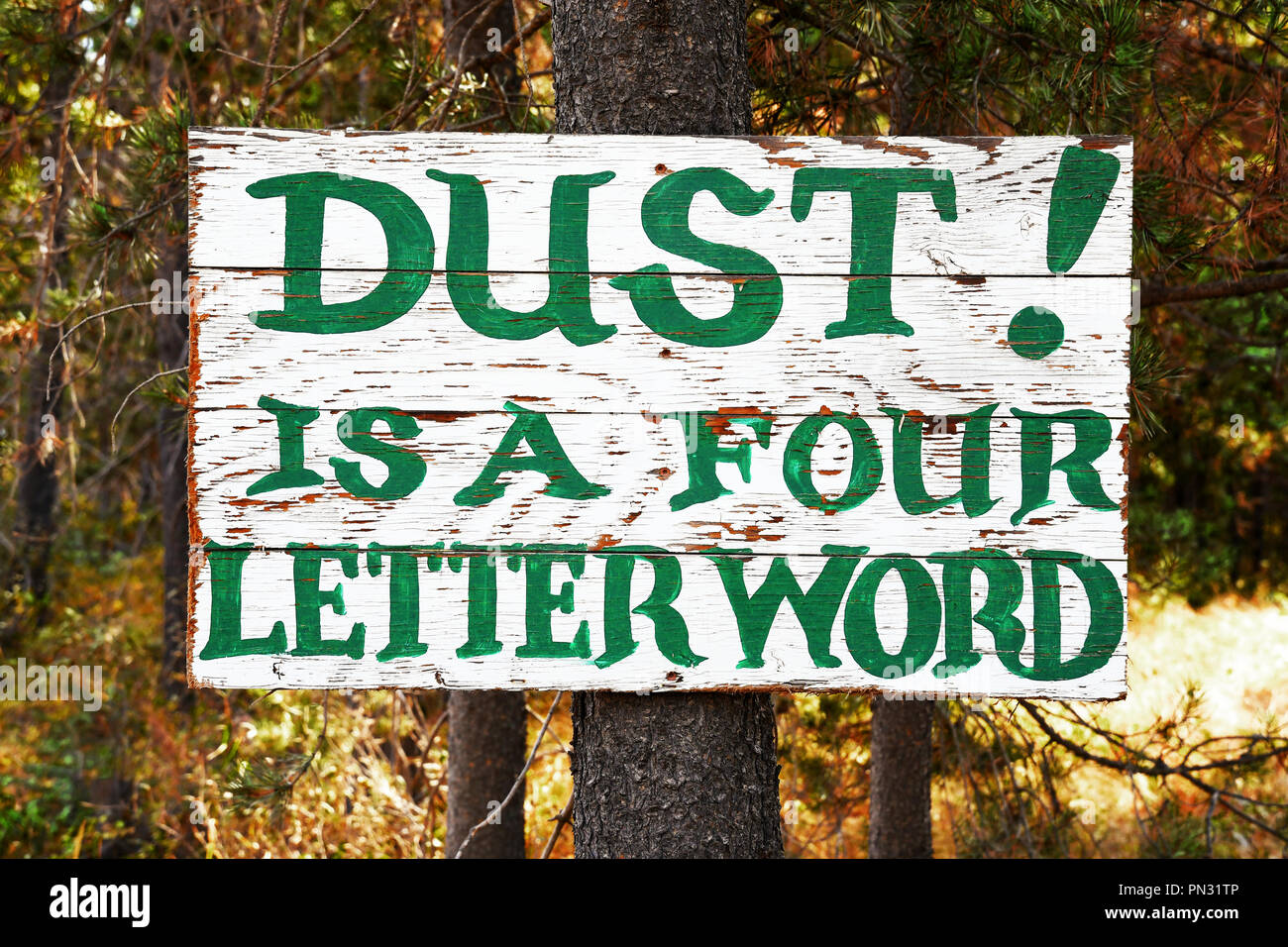 Dust Is A Four Letter Word on an old hand painted sign nailed to a pine tree trunk Stock Photo