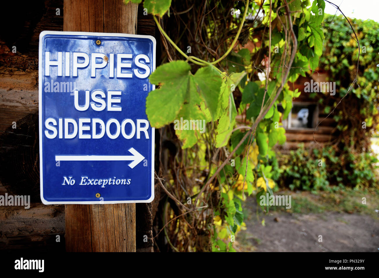 Hippies Use Sidedoor sign screwed into a wooden post on a log cabin Stock Photo