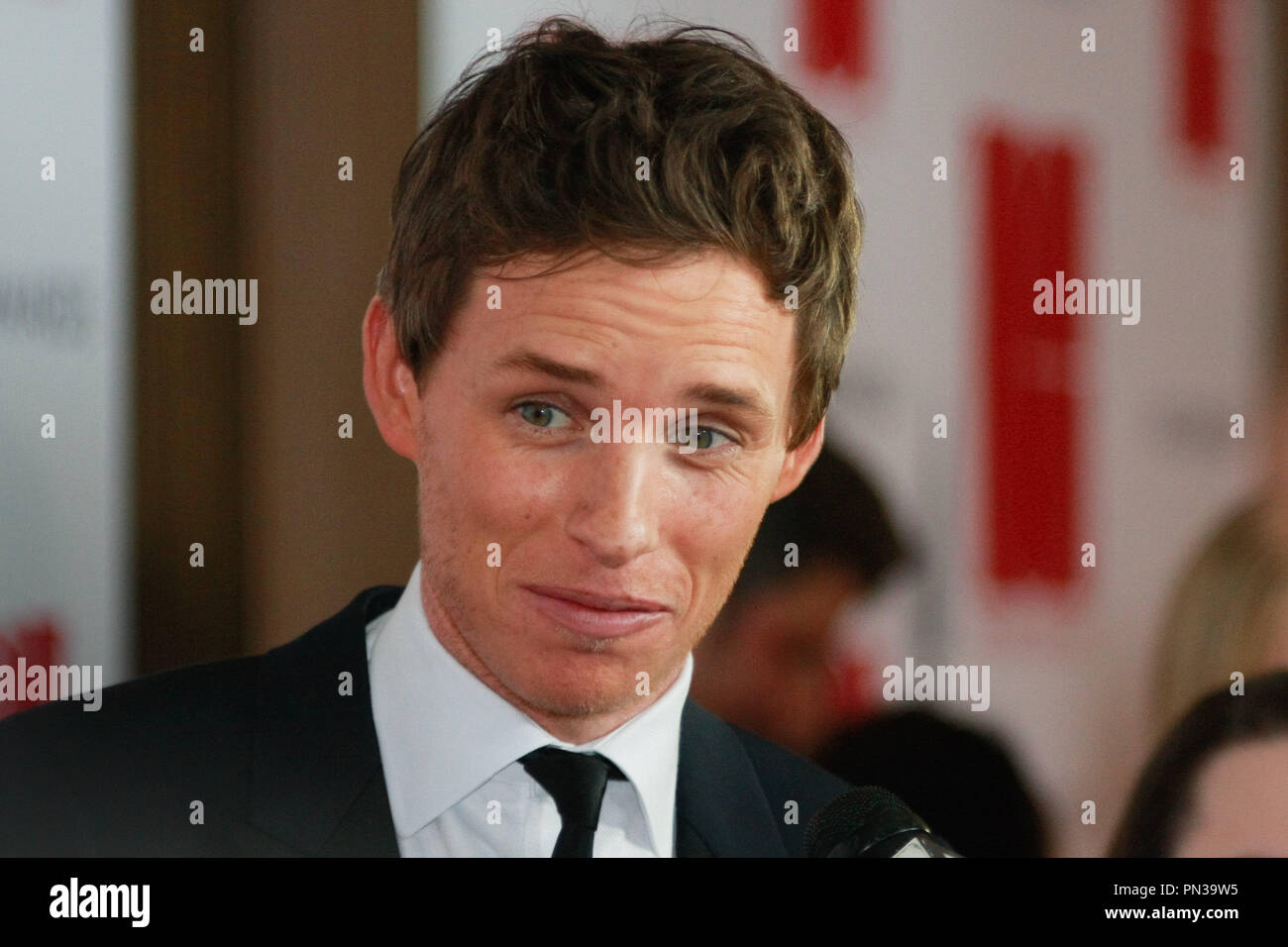 Eddie Redmayne at the 19th Annual Art Directors Guild Excellence In Production Design Awards at The Beverly Hilton Hotel in Beverly Hills, CA, January 31, 2015. Photo by Joe Martinez / PictureLux Stock Photo
