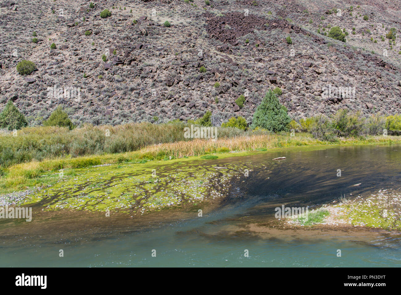 A smaller stream of water flowing into a larger stream in the Rio Grande river in New Mexico Stock Photo