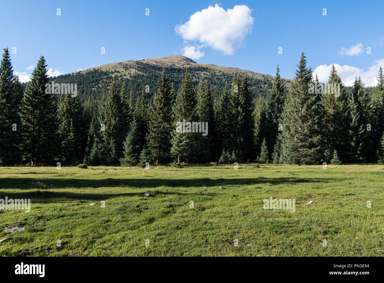 Idyllic alpine meadow and mountain peak under a blue sky with puffy white clouds - Santa Fe Baldy above Puerto Nambe meadow in the Pecos Wilderness Stock Photo