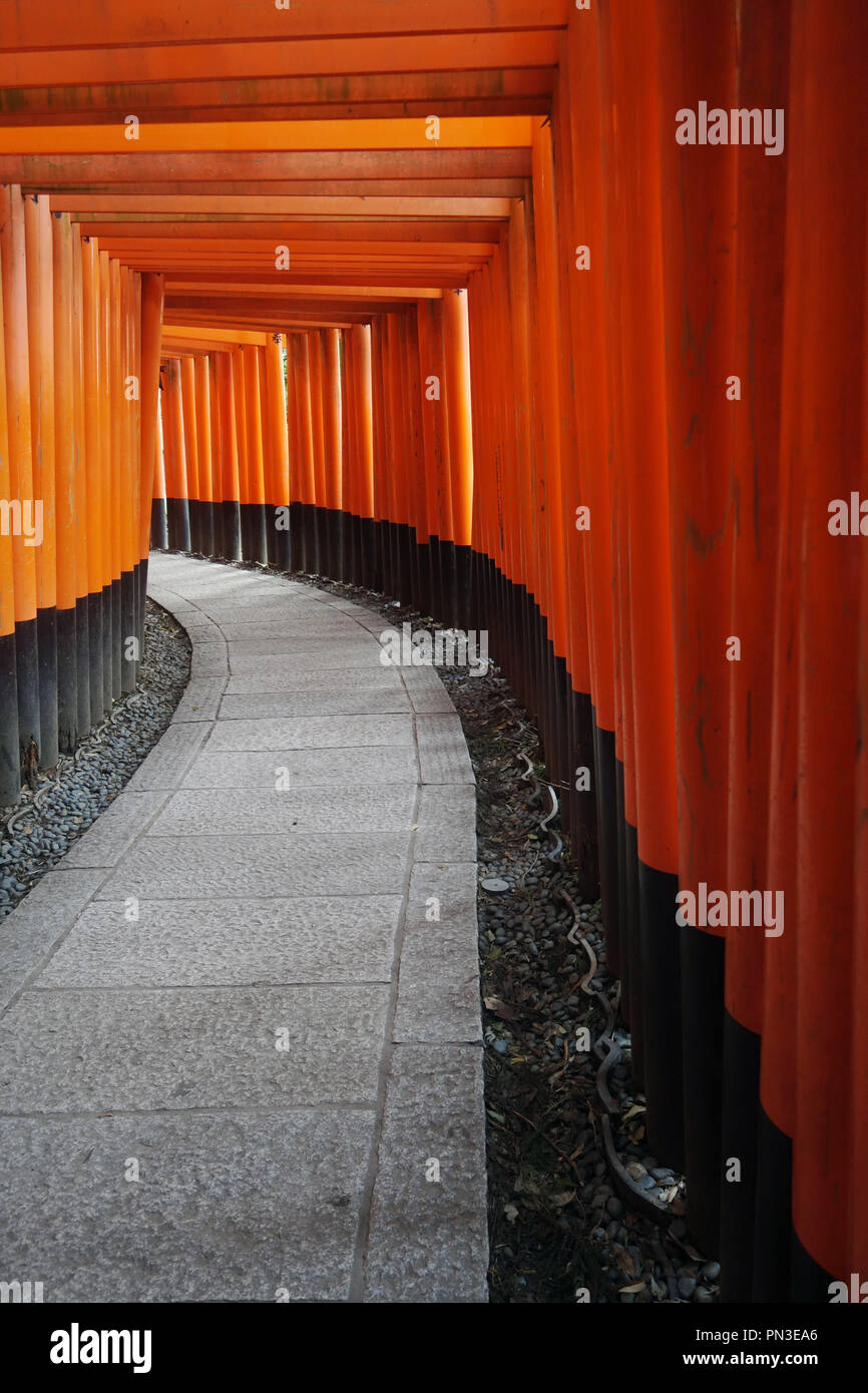 Red torii gates, Fushimi Inari shrine, Kyoto, Japan. No PR Stock Photo