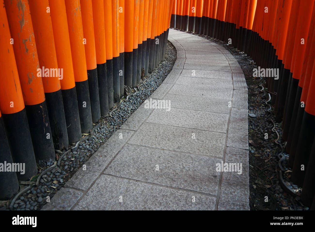 Path between red torii gates, Fushimi Inari shrine, Kyoto, Japan. No PR Stock Photo