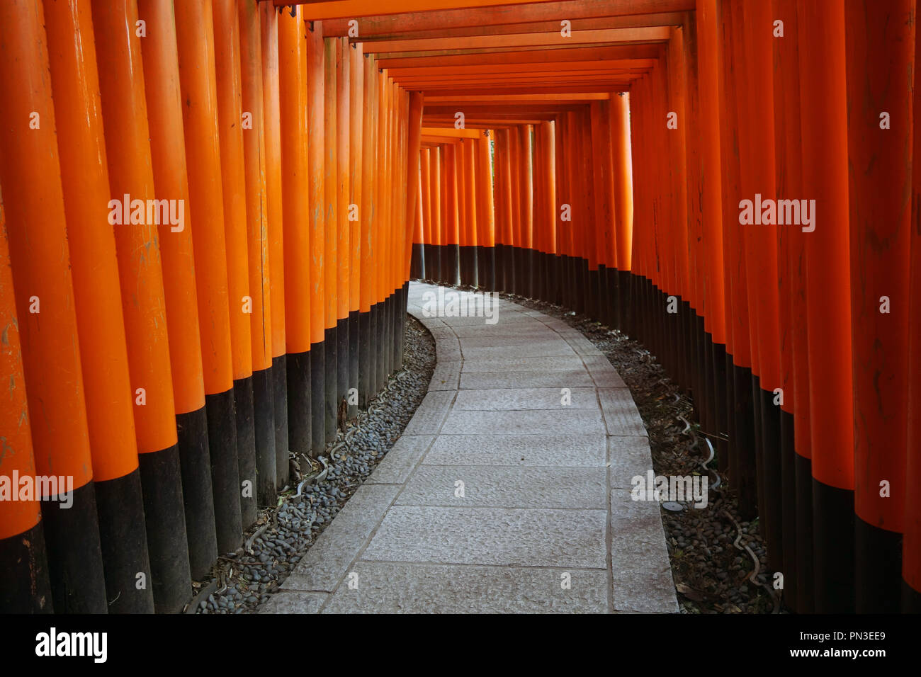 Path between red torii gates, Fushimi Inari shrine, Kyoto, Japan. No PR Stock Photo