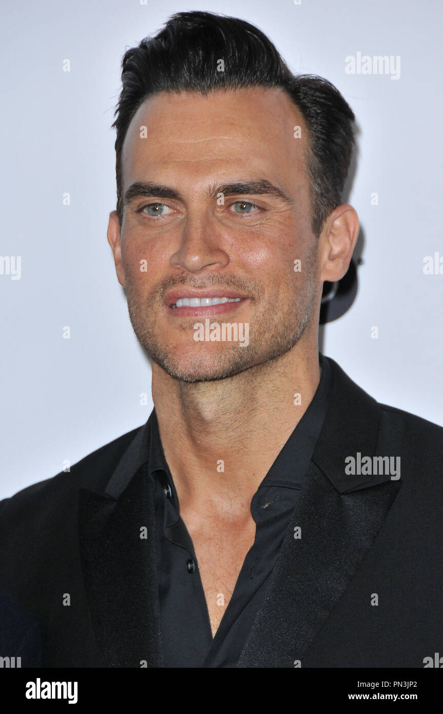 Cheyenne Jackson at the TrevorLIVE LA 2015 held at the Hollywood