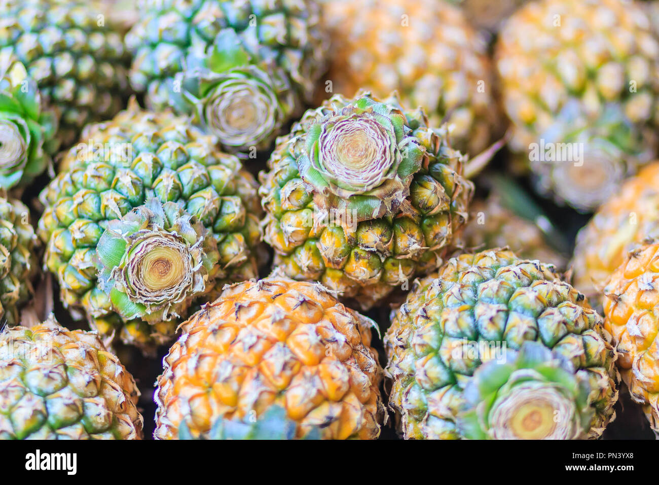 Fresh organic Phulae pineapple for sale at the fruit market. The most