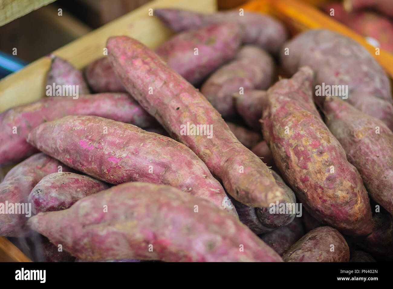 Organic Japanese sweet potatoes for sale at the local fresh market with price tag. Roasted sweet ...