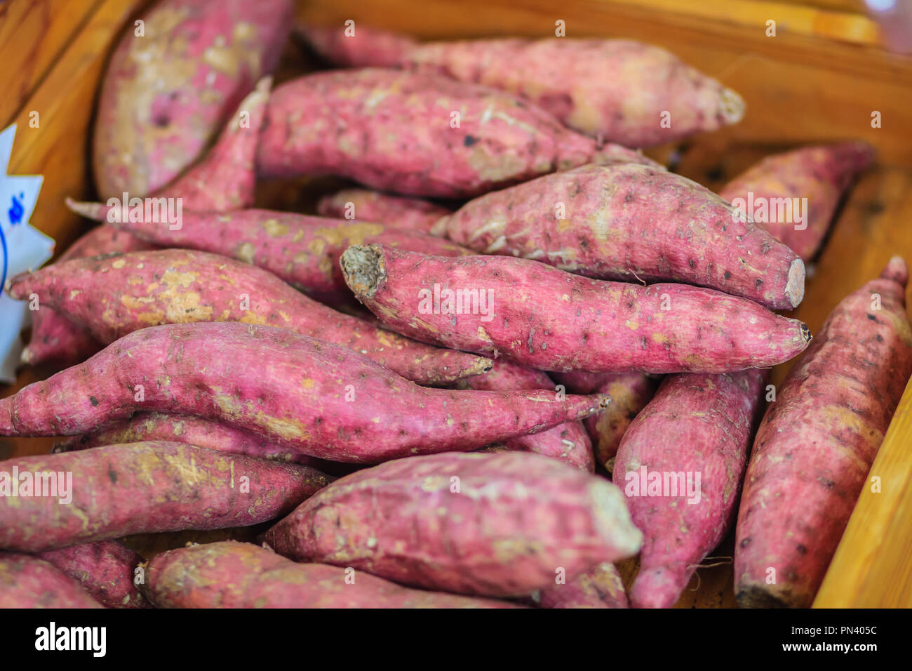 Organic Japanese sweet potatoes for sale at the local fresh market with
