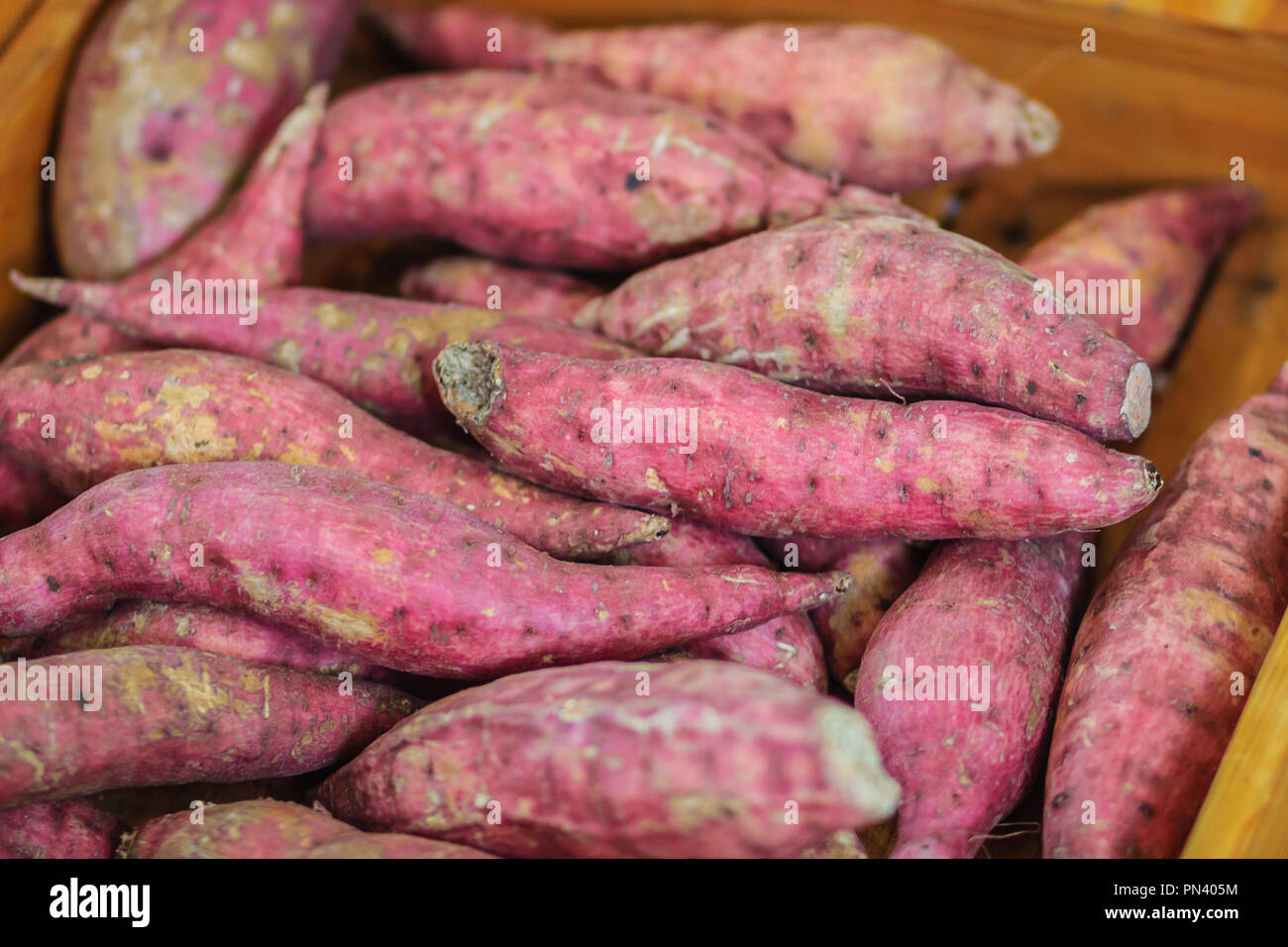 Organic Japanese sweet potatoes for sale at the local fresh market with