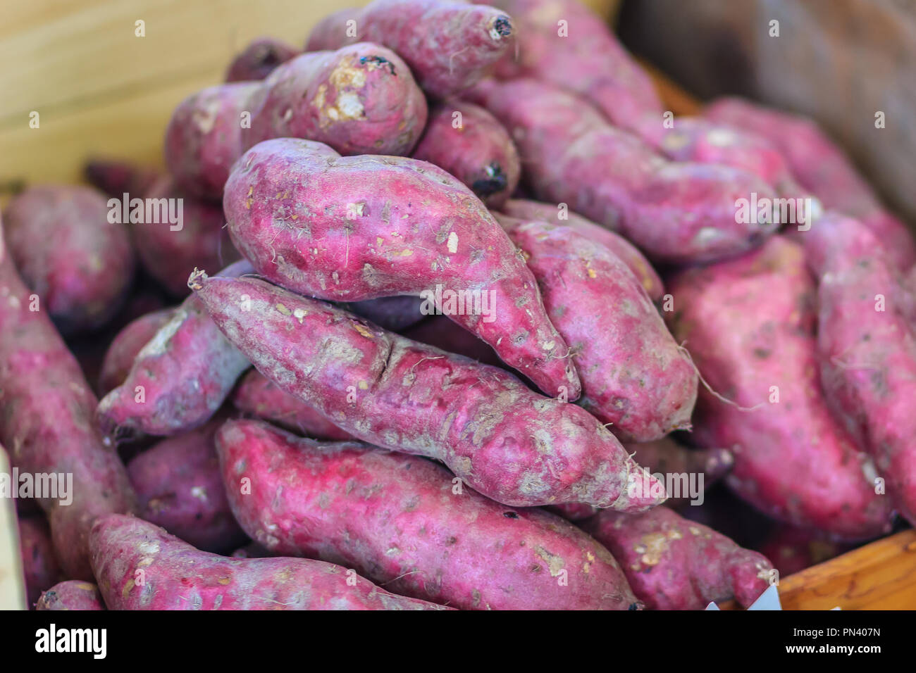 Organic Japanese sweet potatoes for sale at the local fresh market with price tag. Roasted sweet ...