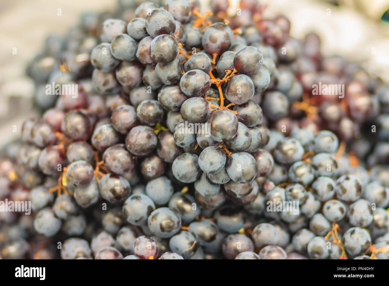 Black organic seedless grapes for sale at the fruit market. Bunch of ...