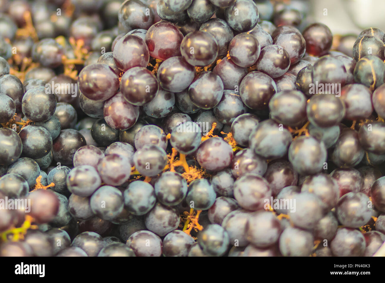 Black organic seedless grapes for sale at the fruit market. Bunch of