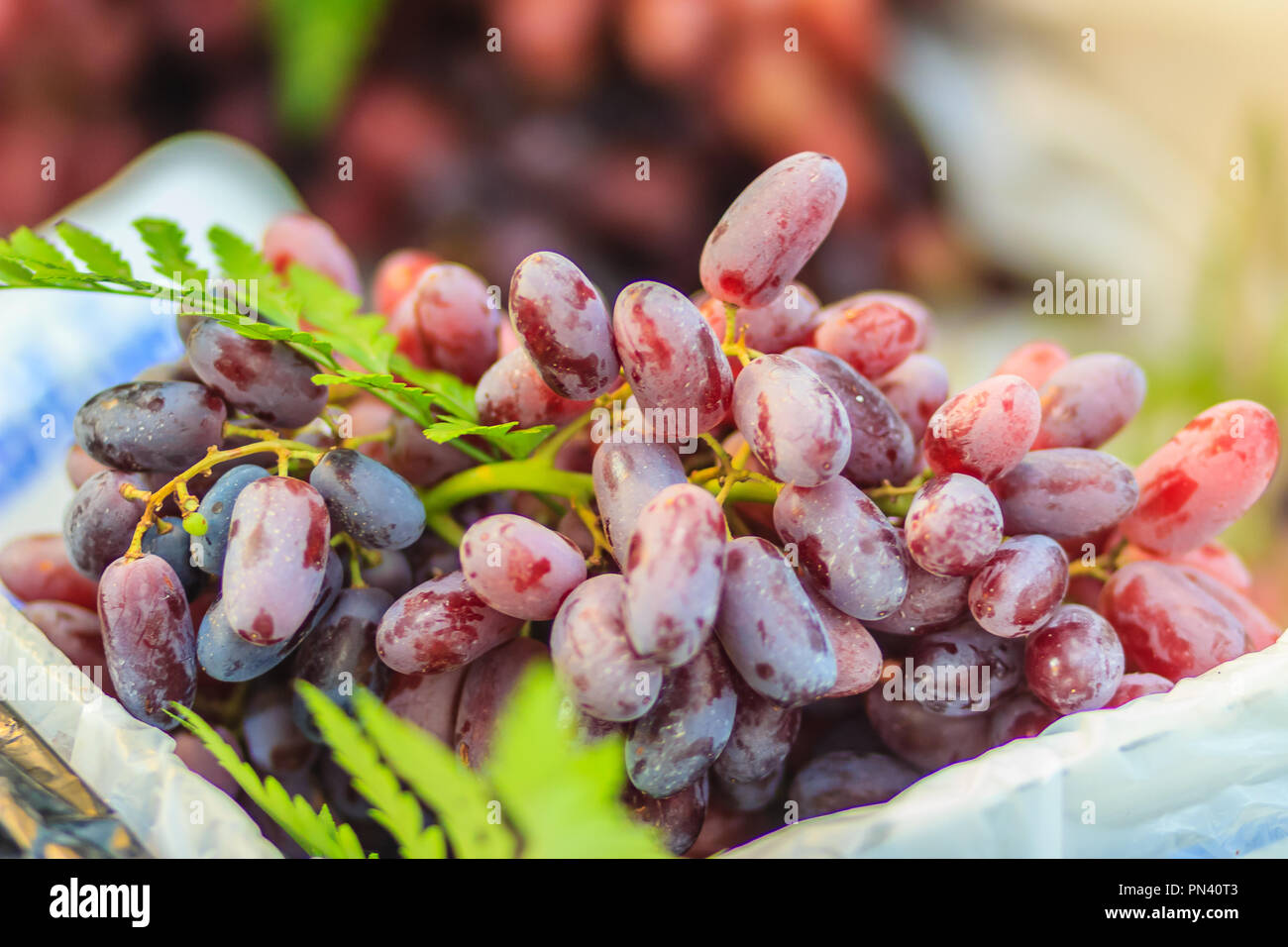 Azure Market Produce Grapes, Seedless Green Organic