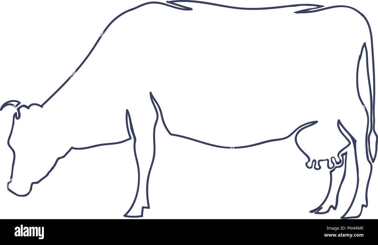 Hand Drawn Cow Isolated on White background. Vector Stock Vector Image ...