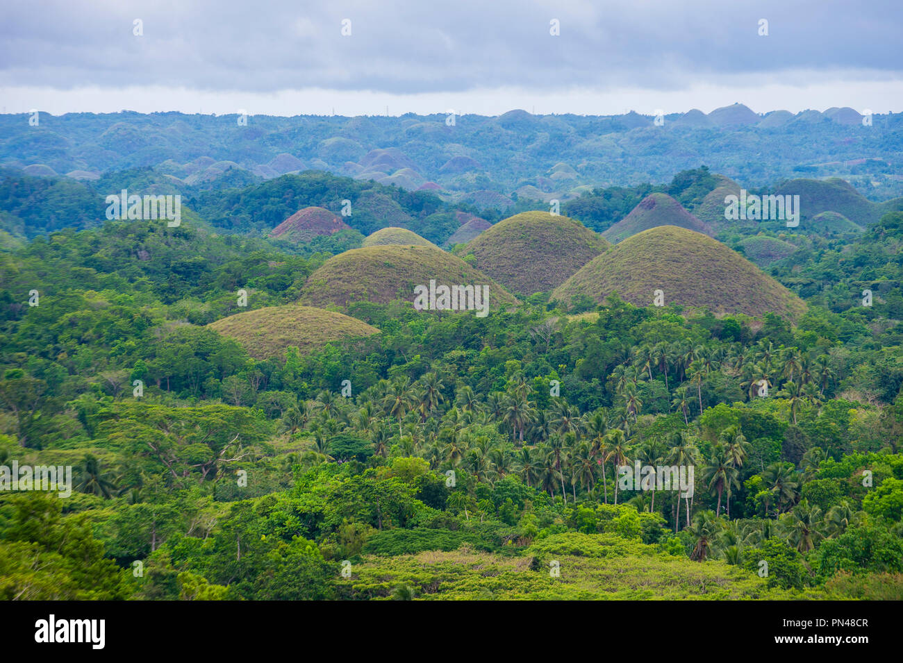 Chocolate hills in Bohol island The Philippines Stock Photo Alamy
