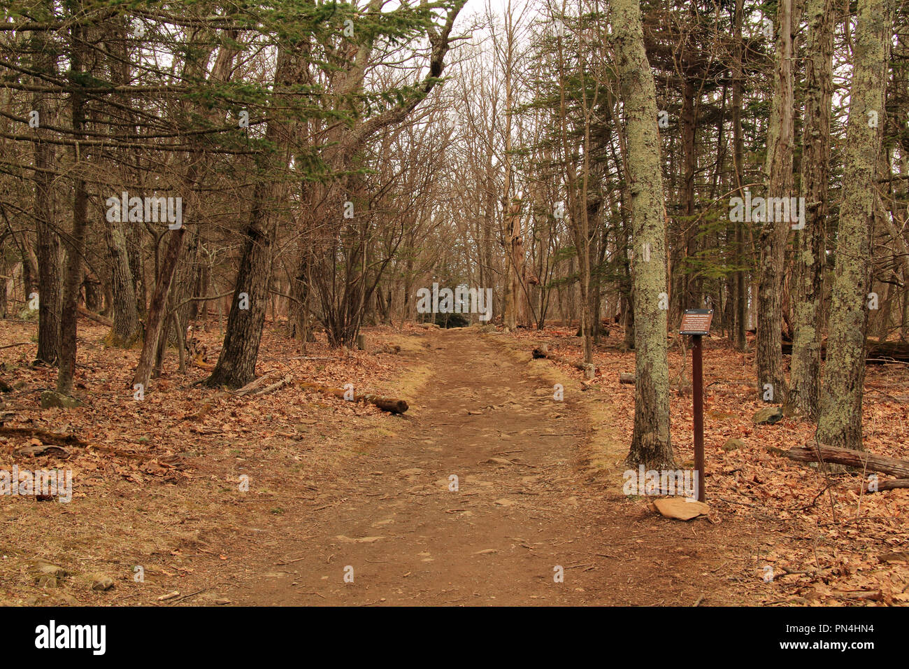 Appalachian Trail in Shenandoah National Park in the state of Virginia Stock Photo