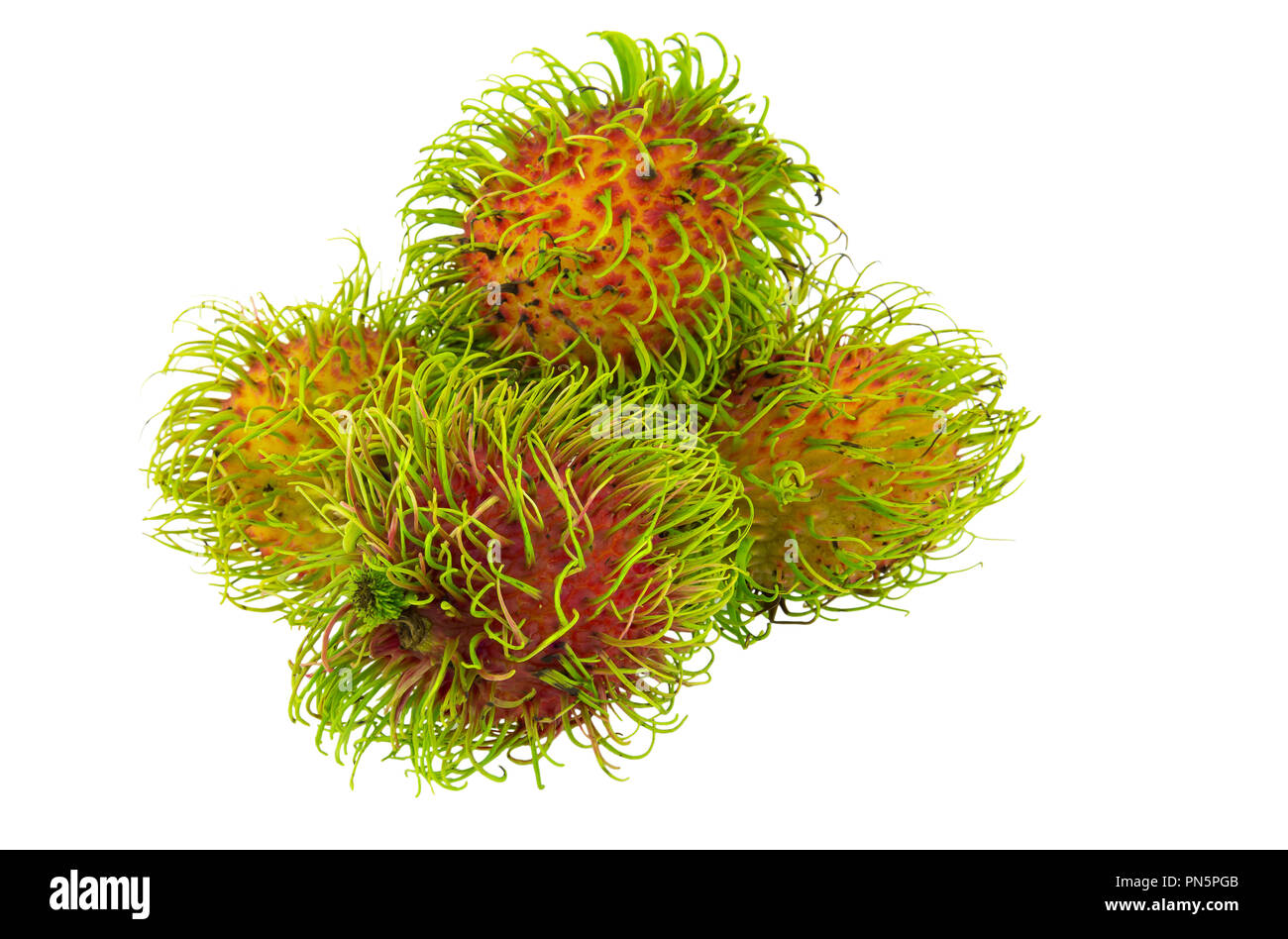 rambutan isolated on white background Stock Photo - Alamy
