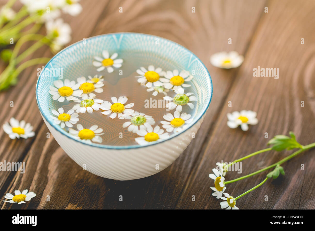 Organic daisy tea with fresh flowers on a wooden table. The concept of ...
