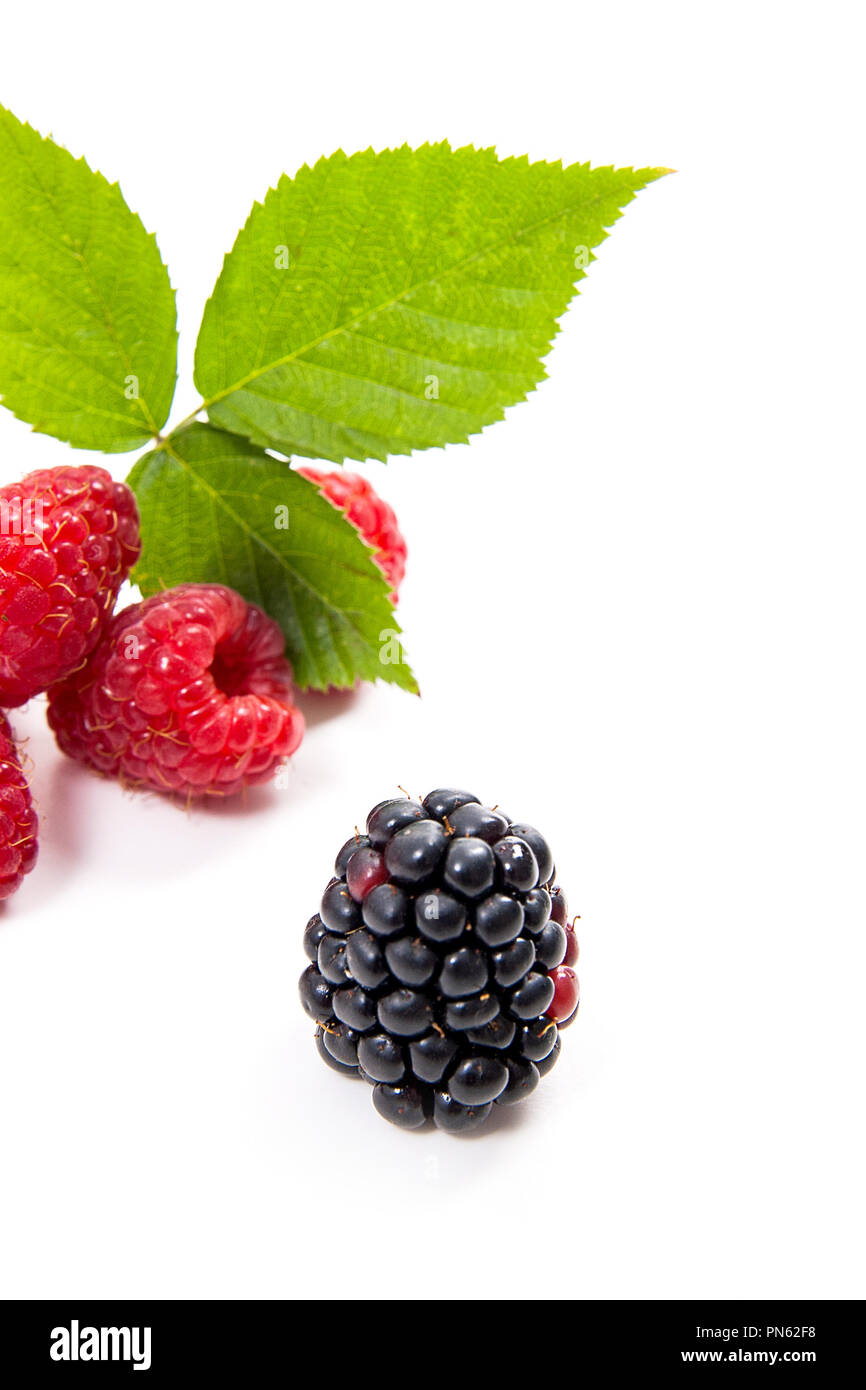 Close up view of fresh raspberries fruits with green leaf of raspberry