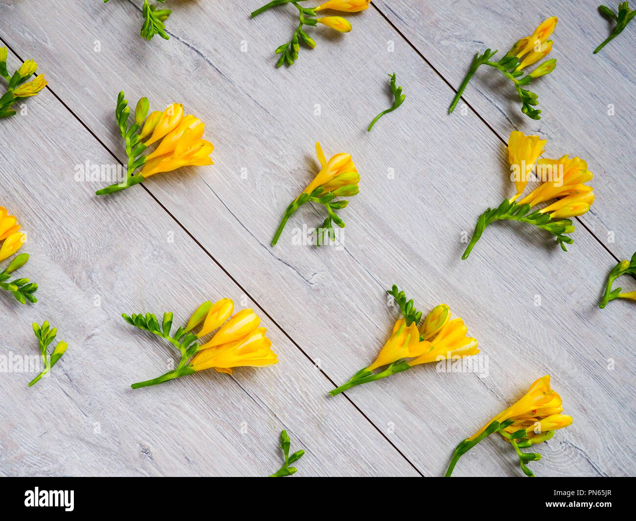 Beautiful flowers on a wood background, celebration, greeting card, space for text. Stock Photo