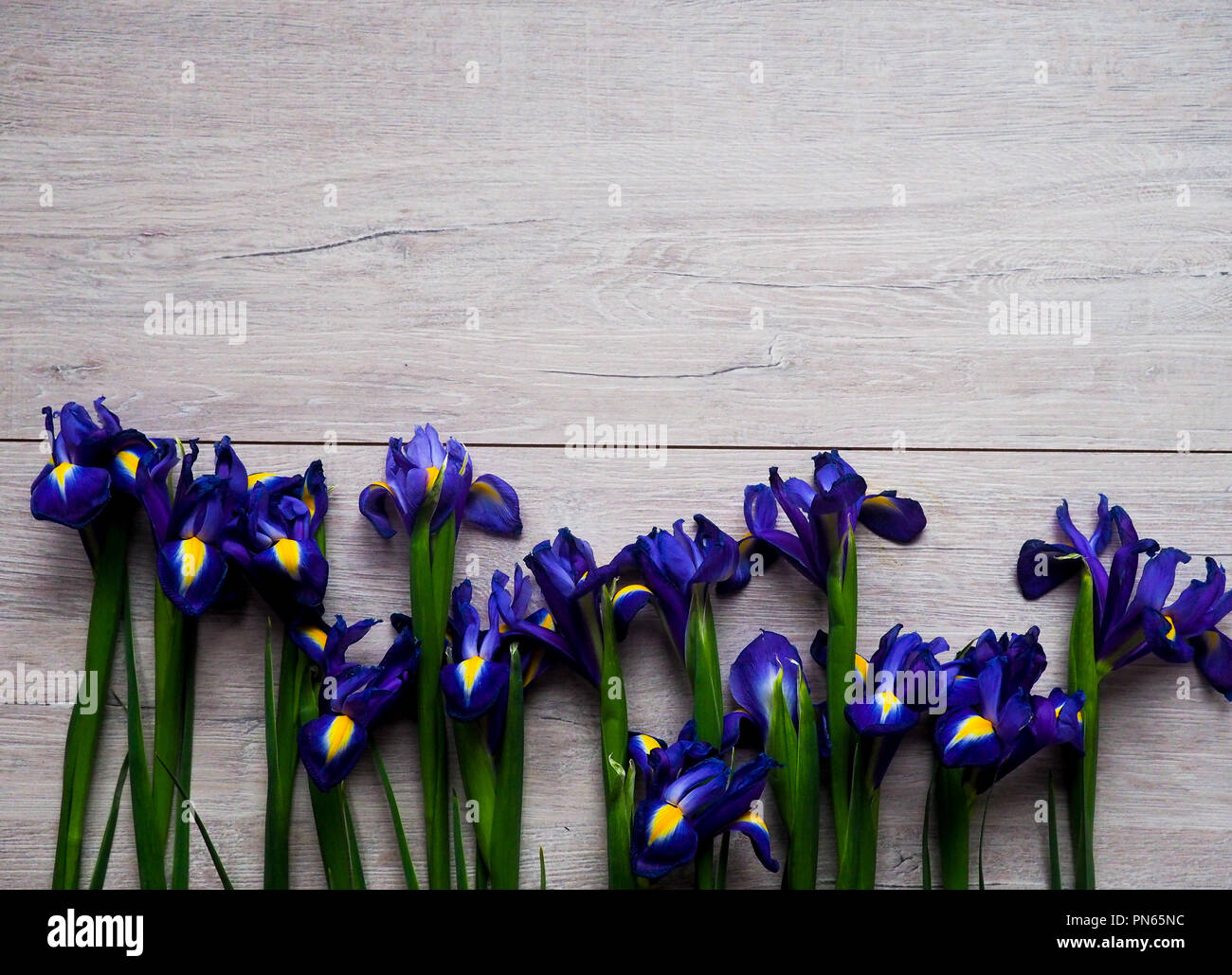 Beautiful iris flowers on wooden background, holiday, greeting card, space for text. Stock Photo