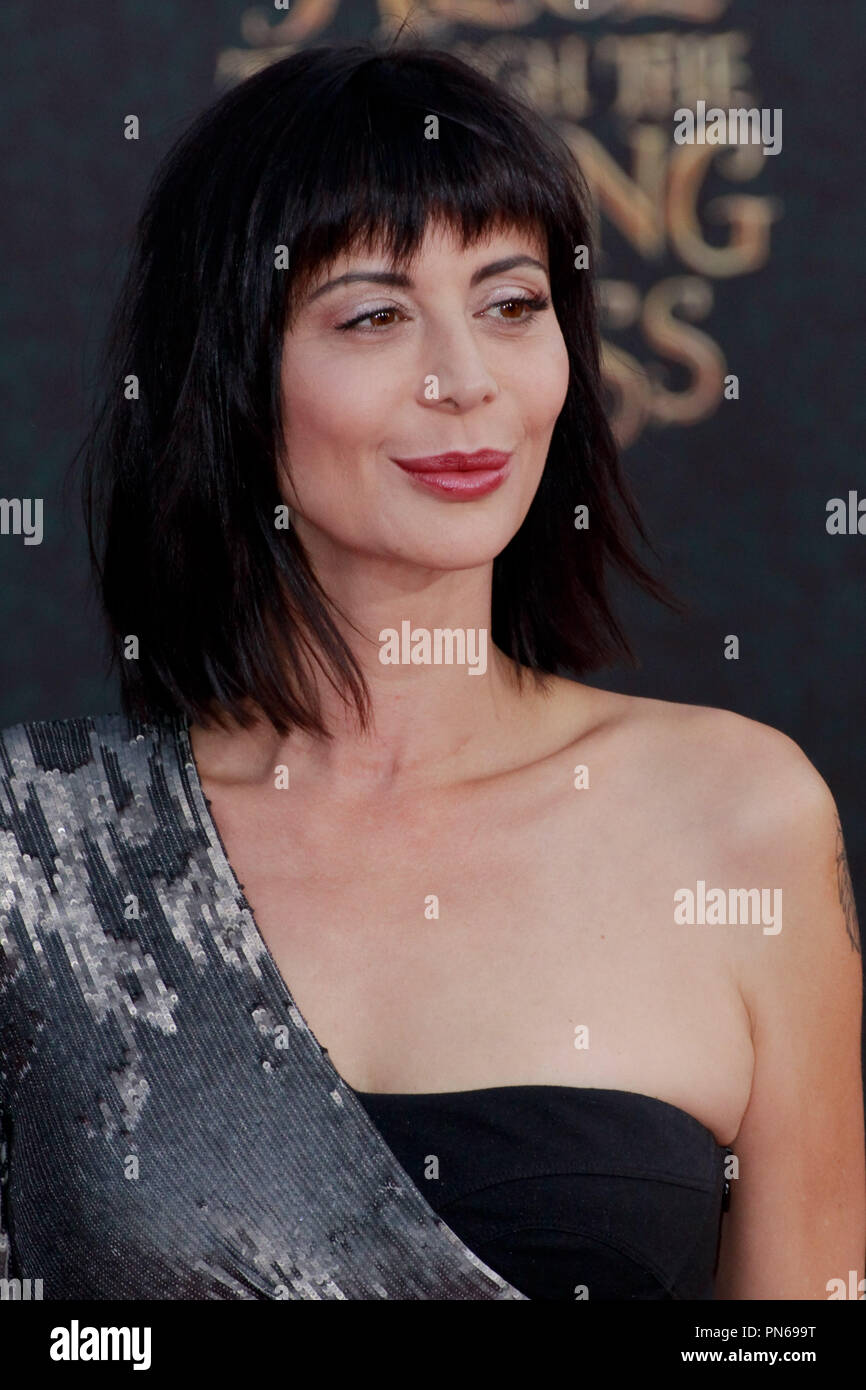 SEXY Catherine Bell Close Up with Cleavage 8 x 10 Photo at Amazon's  Entertainment Collectibles Store