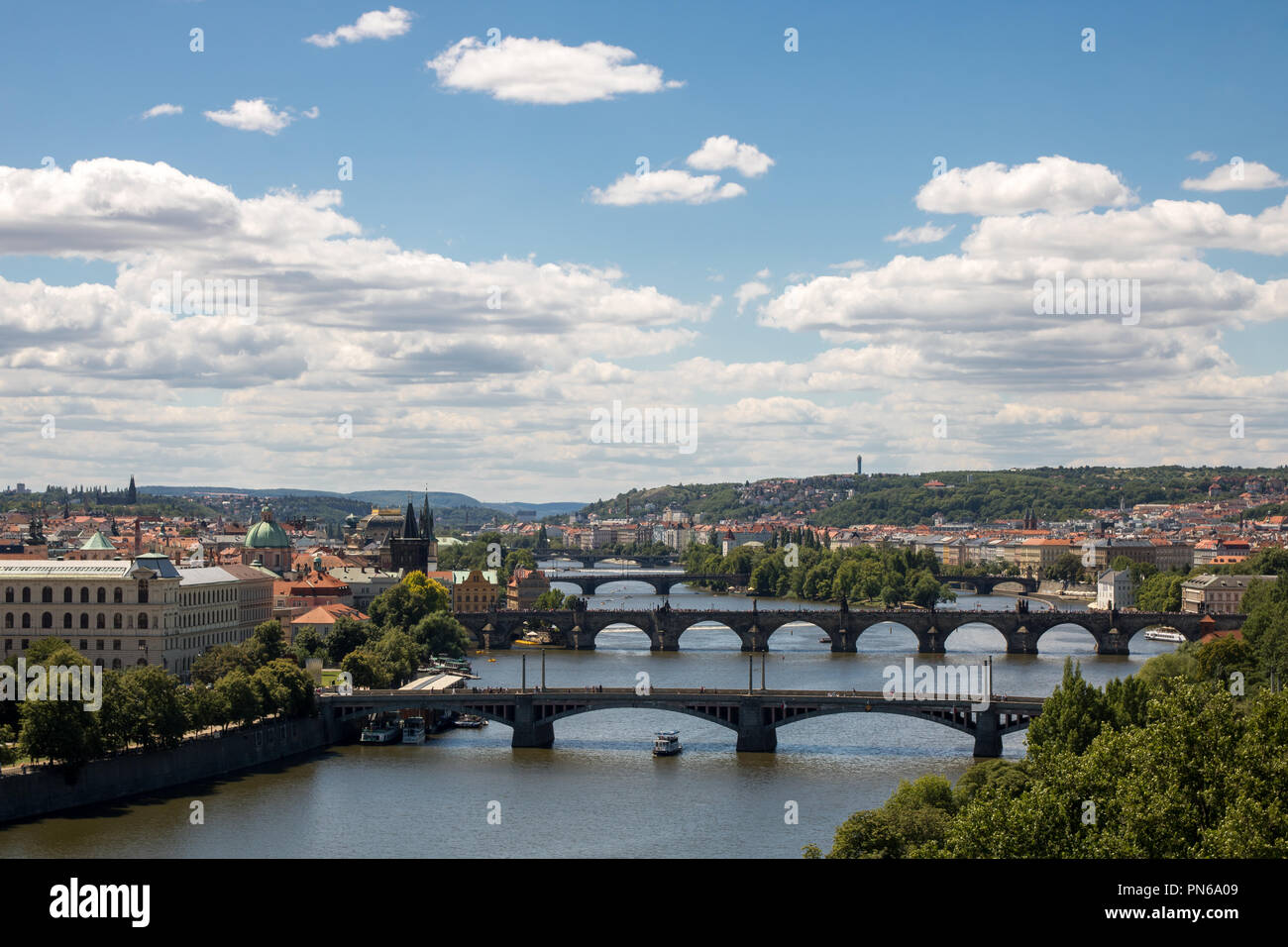 pojistovna