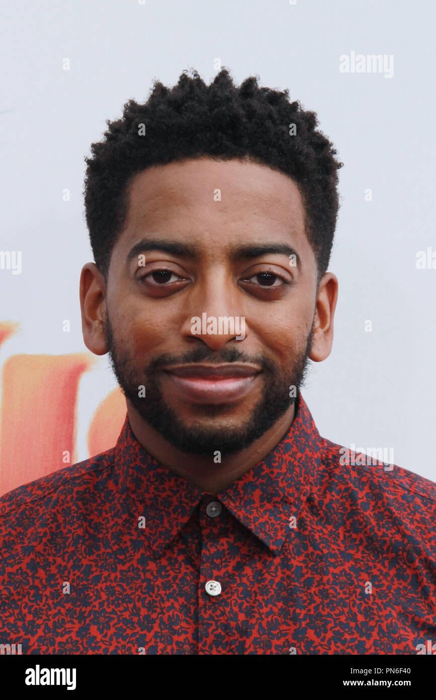 Shaun Brown's Instagram, Twitter & Facebook on IDCrawl