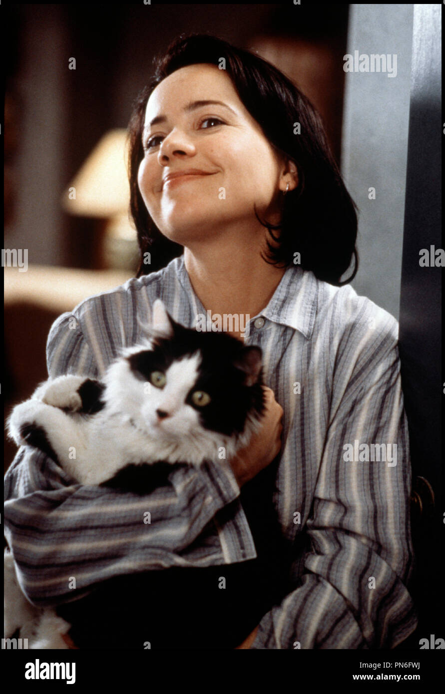 Cats And Dogs Film Stock Photos Cats And Dogs Film Stock