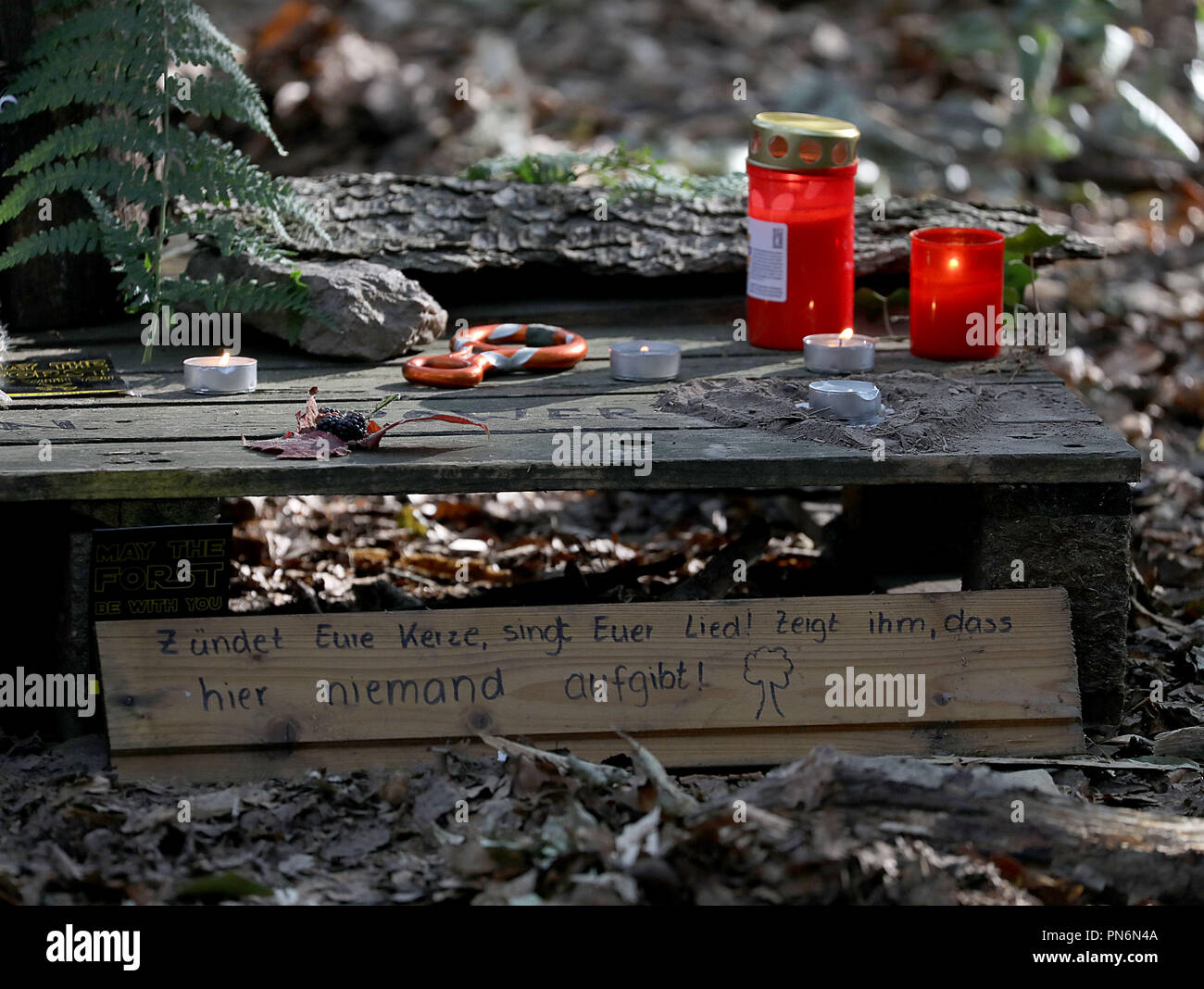 20 September 2018, North Rhine-Westphalia, Kerpen: Candles are standing at the scene of the accident in the Hambach Forest. A journalist crashed from a tree house and suffered fatal injuries during a major clearance operation in the lignite mining area of Hambach Forest in the Rhineland. Photo: Oliver Berg/dpa Stock Photo