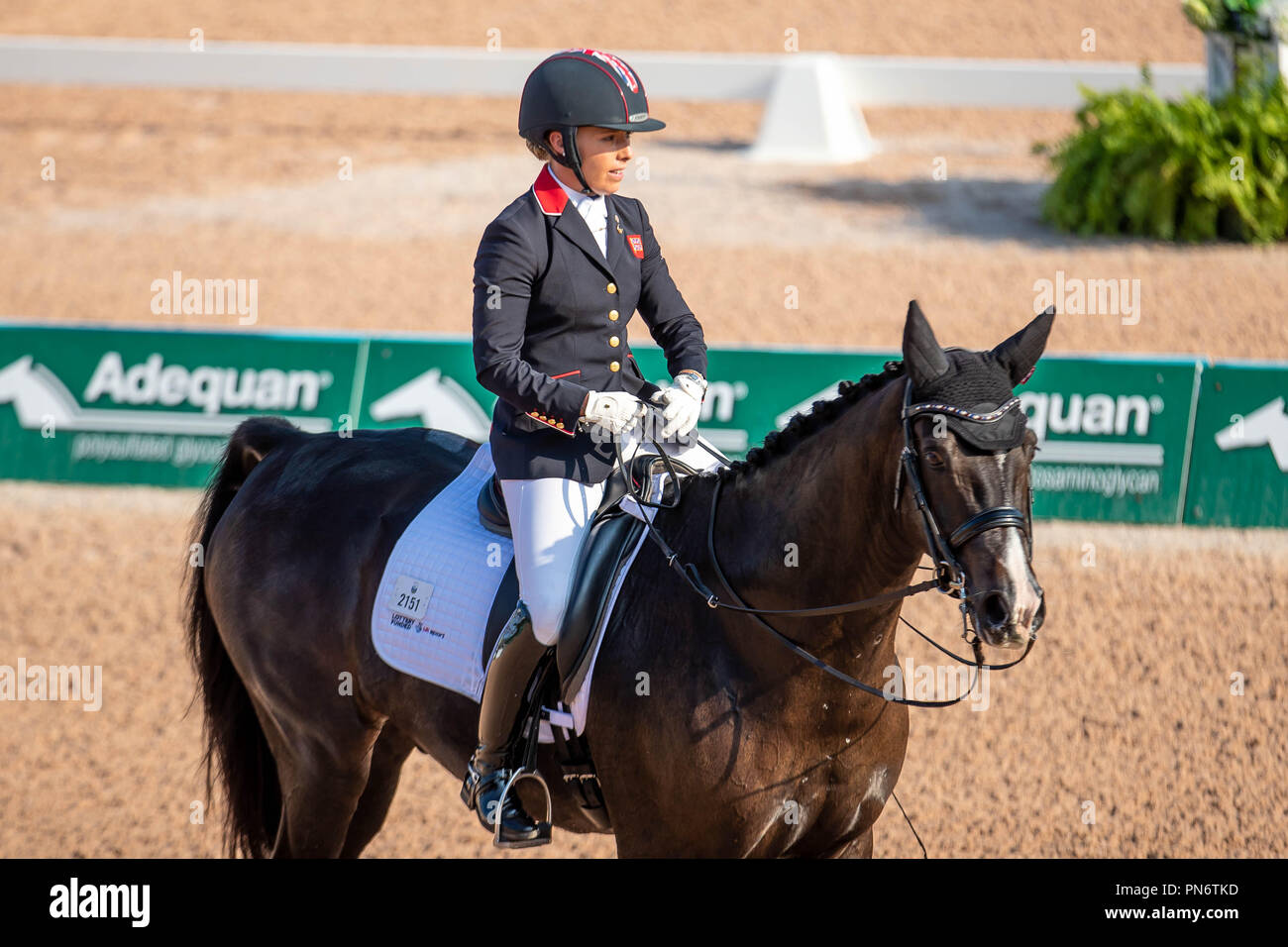 Sophie Wells. C Fatal Attraction. GBR. Para Dressage Team Competition.9