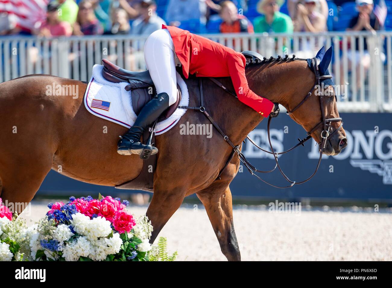 Adrienne Sternlicht. USA. Show Jumping. Team and individual Second Completion. Round 1. Day 9